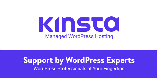 Kinsta WordPress Exprets